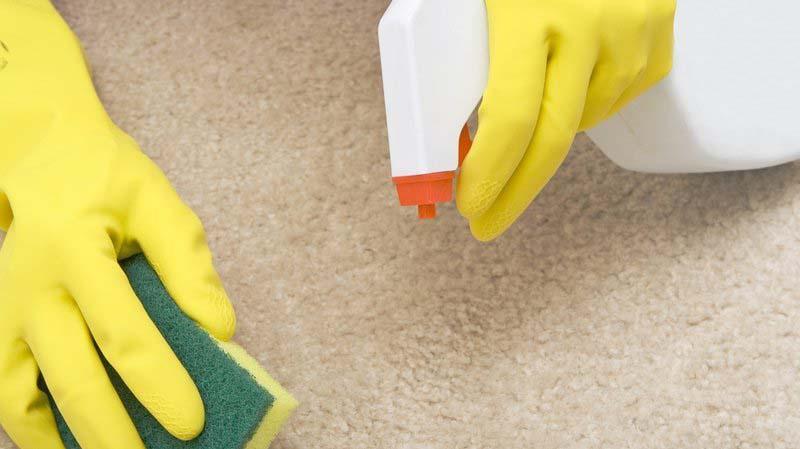 Делаем дом уютнее, или Как почистить ковёр в домашних условиях Чем чистить нитяные ковер в домашних