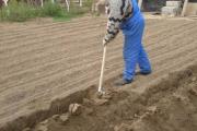 Когда и зачем копать огород, как правильно перекапывать грядки Минусы чудо лопаты рыхлителя «Крот»