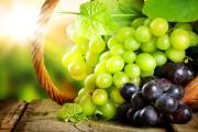 Как выполнить осеннюю подкормку винограда