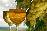 Как выбрать сорт винограда для приготовления вина